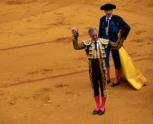 ANDALUSIA SPAIN. Bullfight in Seville Arena