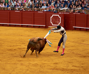 ANDALUSIA SPAIN. Bullfight in Seville Arena