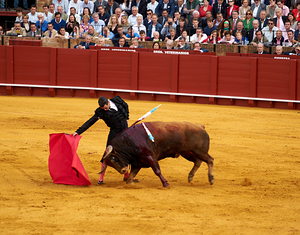 ANDALUSIA SPAIN. Bullfight in Seville Arena