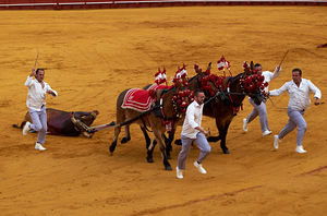 ANDALUSIA SPAIN. Bullfight in Seville Arena