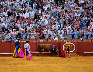 ANDALUSIA SPAIN. Bullfight in Seville Arena
