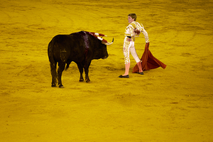 ANDALUSIA SPAIN. Bullfight in Seville Arena
