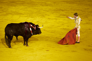 ANDALUSIA SPAIN. Bullfight in Seville Arena