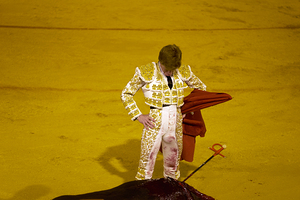 ANDALUSIA SPAIN. Bullfight in Seville Arena