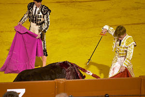 ANDALUSIA SPAIN. Bullfight in Seville Arena