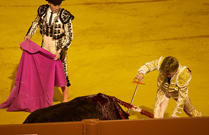 ANDALUSIA SPAIN. Bullfight in Seville Arena