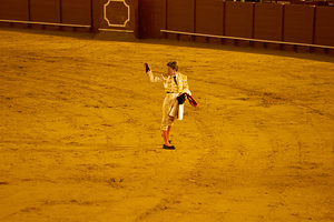 ANDALUSIA SPAIN. Bullfight in Seville Arena
