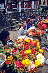Nepal. Kathmandu. Pashupatinath