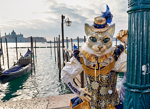 Venice Italy. The Carnival