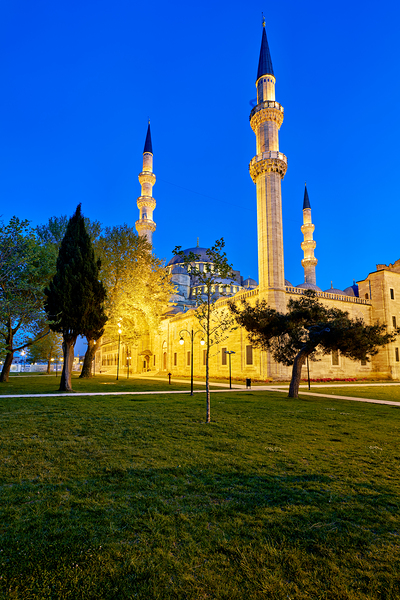 Night view of Suleymaniye Mosque in Istanbul Turkey Print