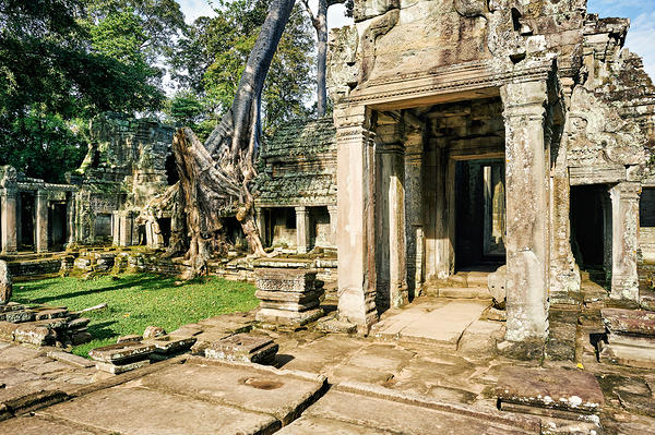 Ancient temple ruins overgrown by massive tree roots. Print