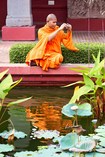 Monk in orange robes takes photo by a lotus pond. Print