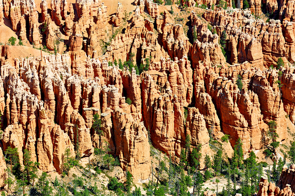 Views of bryce canyon from bryce point in national park usa Print