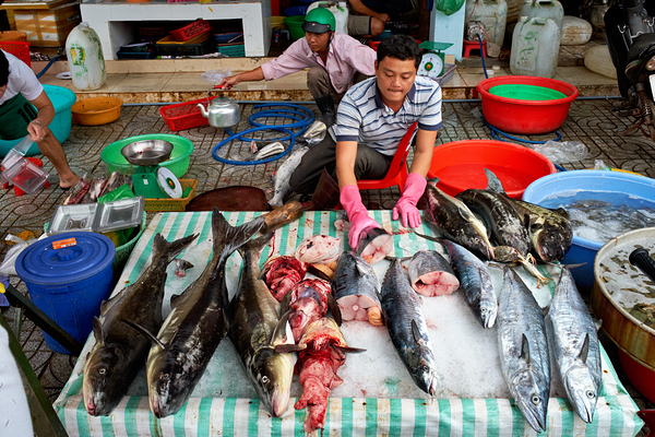 Fish market scene in Phu Quoc Vietnam during the day Print