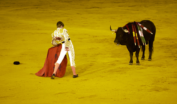 Bullfight event at Seville Arena in Andalusia Spain by Marco Brivio