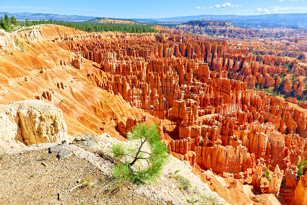 View from inspiration point at bryce canyon national park Print