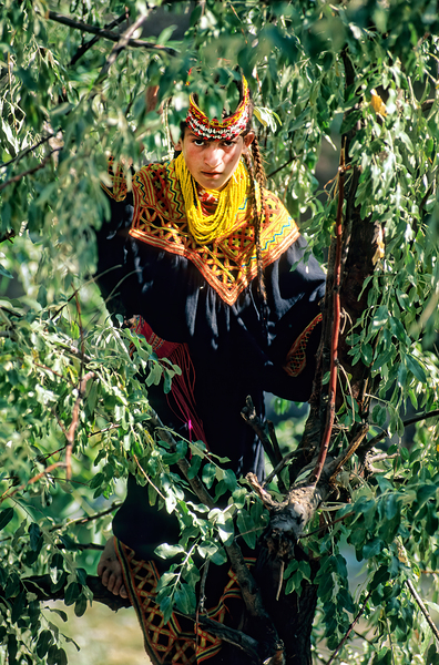 Life in a kalash village in bumburet valley of pakistan Print