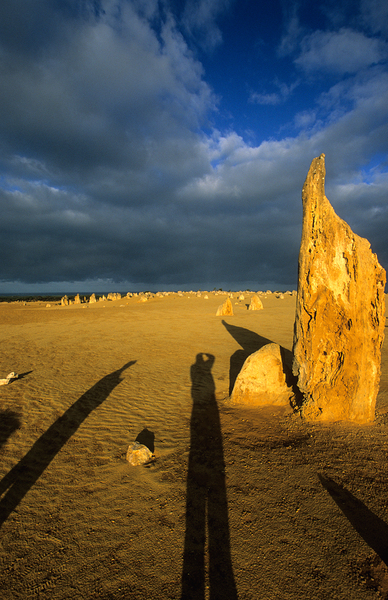 Photographers shadow falls on the Pinnacles desert at sunset. Print