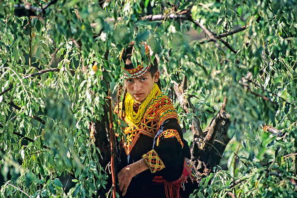 Life in Kalash Village of Bumburet Valley during day Print