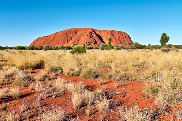 Uluru Australias iconic sandstone monolith under a clear blue Print