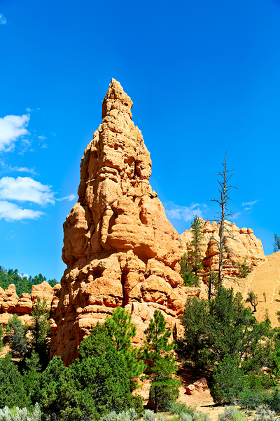 Rock formation towers over trees in Dixie National Forest Print