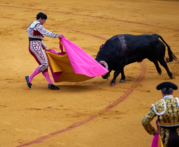 Bullfight event at Seville Arena in Andalusia Spain by Marco Brivio