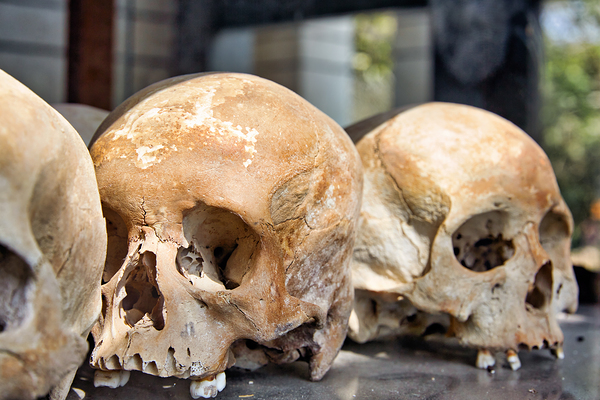 Multiple human skulls on display. Digital Download