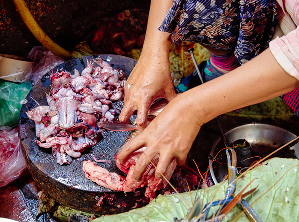 Hands preparing raw frog meat and seafood. Print