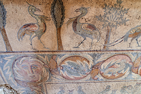 Mosaics on the floor of the Apostles Church in Madaba Jordan Print