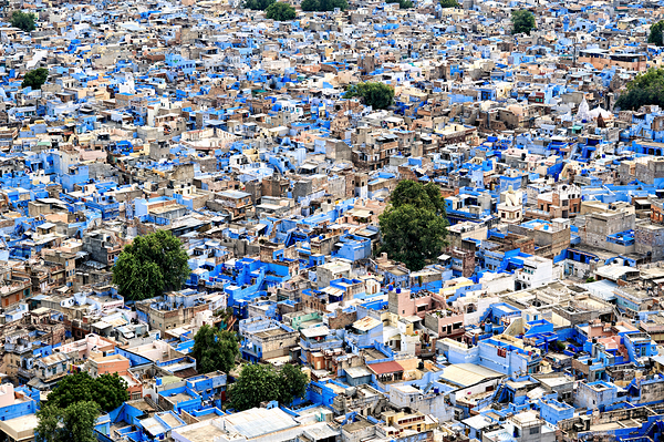 Cityscape view of blue houses in Jodhpur Rajasthan in India Print