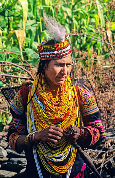 Life in kalash village of bumburet valley in pakistan Print