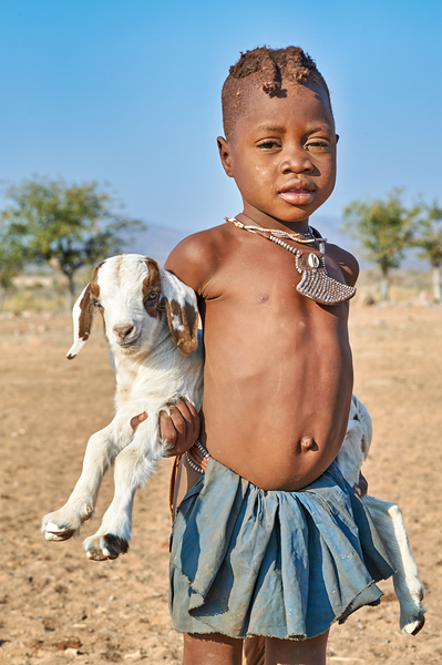Himba child holding a goat in Kunene Region of Namibia Print