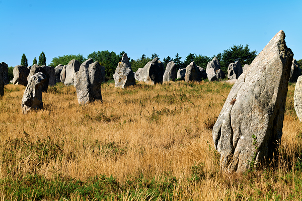 Menhir standing stones in Carnac Brittany France on a sunny da by Marco Brivio