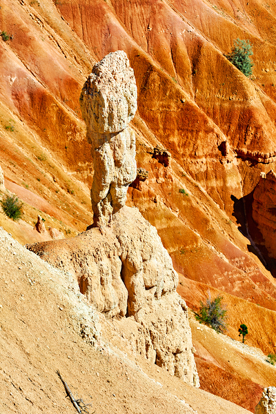 View of hoodoo rock at Inspiration Point in Bryce Canyon Park Print