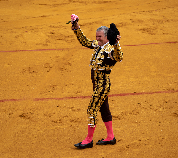 Bullfighter performs in Seville Arena during bullfight event by Marco Brivio