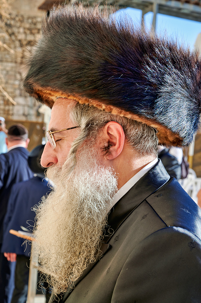Orthodox Jews pray at the Wailing Wall in Jerusalem Israel Print