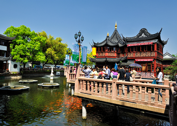Vibrant Chinese garden with koi pond and visitors in Shanghai Print