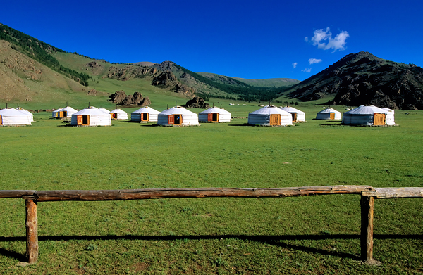 Ger tents in the grassy fields of Mongolia under clear skies by Marco Brivio