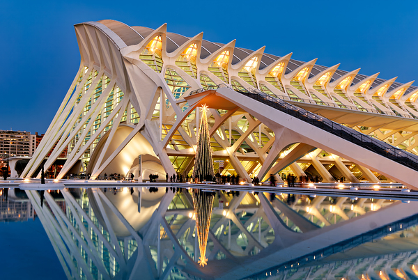 Visit to Museu de les Ciències Príncipe Felipe in Valencia Spa Digital Download