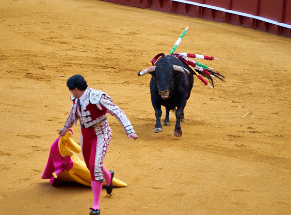 Bullfight show in Seville arena during Andalusia event by Marco Brivio