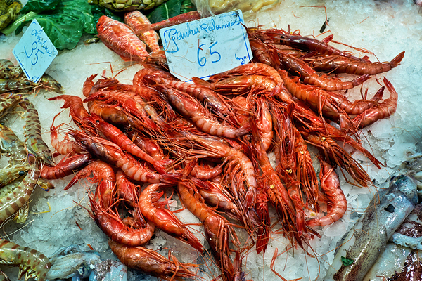 Fresh seafood display at Mercat de Sant Josep in Barcelona Digital Download