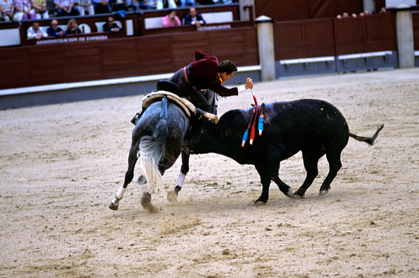 Bullfight on horseback at Las Ventas in Madrid Spain by Marco Brivio