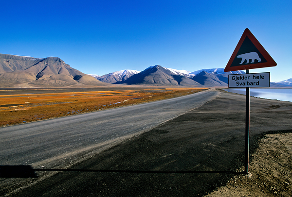 Warning signs for polar bears in Longyearbyen Svalbard Print