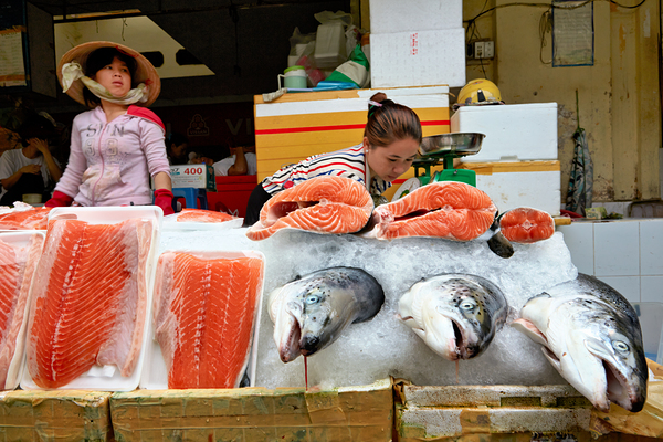 Market scene in Ho Chi Minh with fresh seafood for sale Print