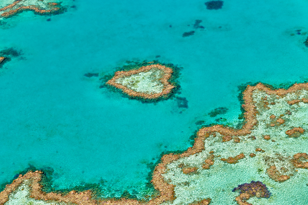 Heart Reef Great Barrier Reef Australia Print