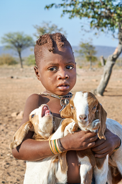 Child carries goats in Himba village of Namibia Kunene Region Print