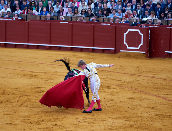 Bullfight takes place in Seville Arena in Andalusia Spain by Marco Brivio