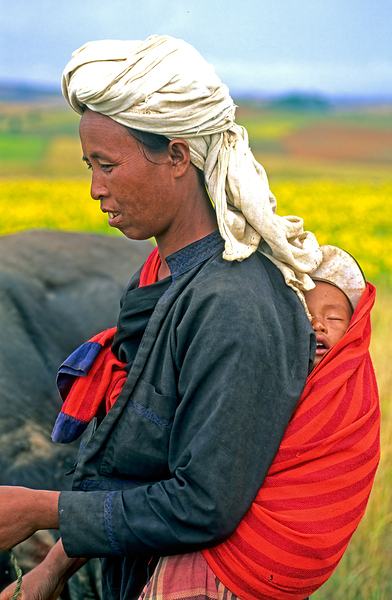 Woman carries son on her back in Myanmar fields Print
