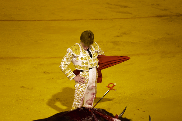 Bullfight event in Seville Arena of Andalusia Spain by Marco Brivio
