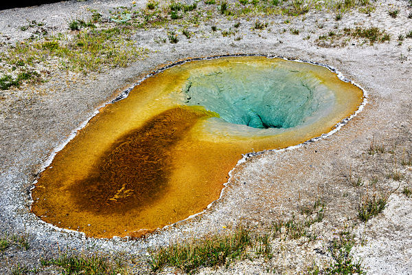 Yellowstone National Park features Beauty Pool in summer Print